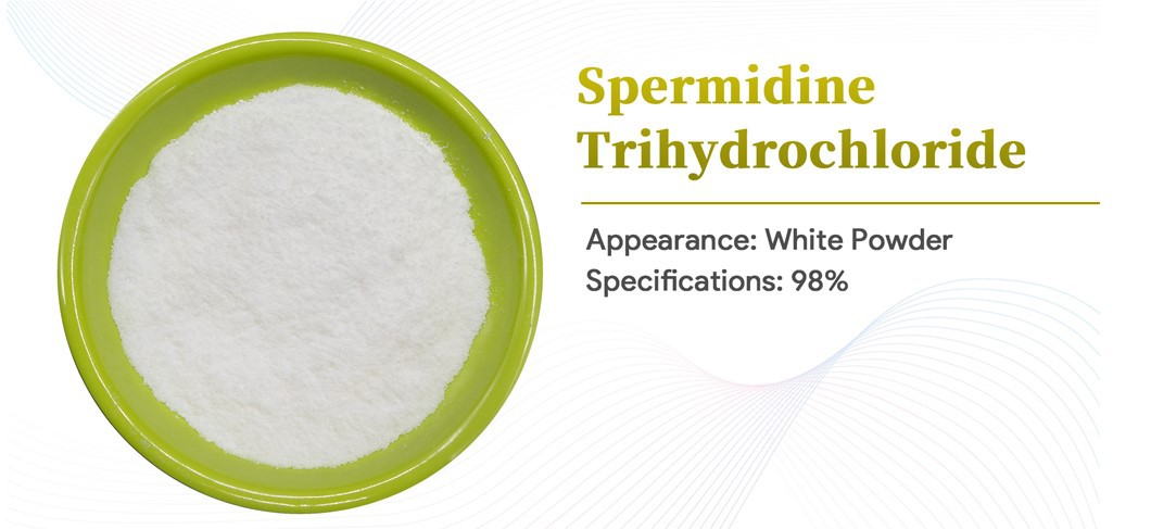 Spermidine Hydrochloride
