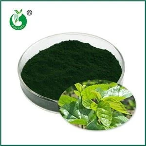 Hvad er natriumkobberchlorophyllin? Hvad bruges det til?