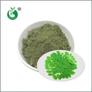 Organisk Moringa-pulver