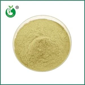 Er vitamin K2 og MK7 det samme?