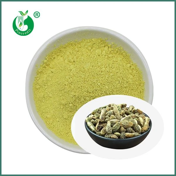 Engros Kaempferol pulver