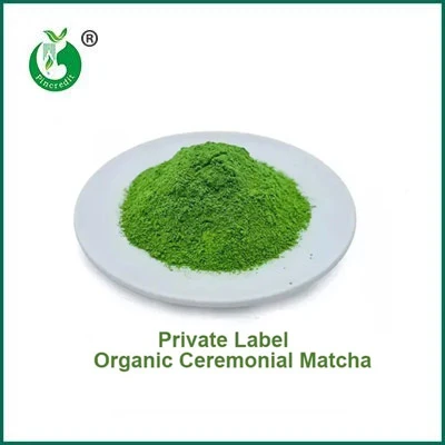 Hvad er forskellen mellem Matcha-pulver og grønt-te-pulver?