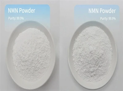 Er NMN Powder blevet forbudt?